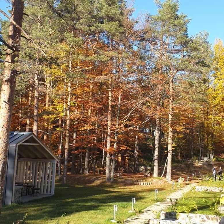 Apartman Divcigora Sokic Divčibare Exterior foto
